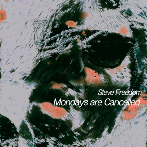 Steve Freedom